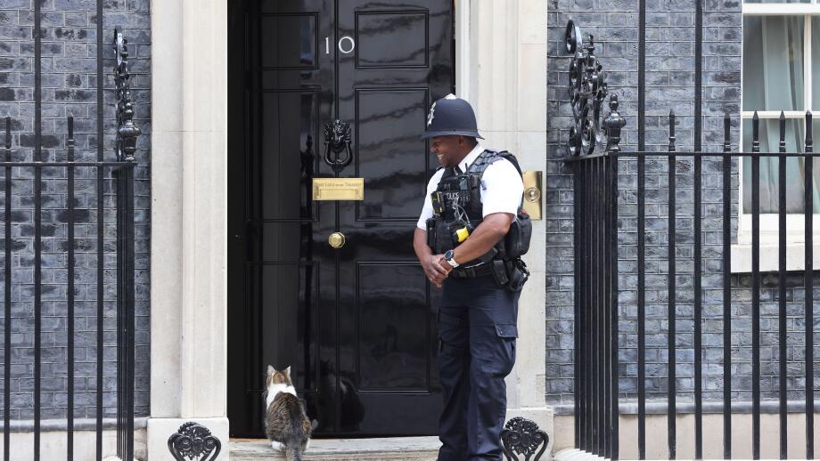 Larry the resident No.10 mouse catcher waiting to be let in by British bobby on Downing Street, Westminster, London, UK