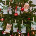 Symbolic photo, gift of money, Christmas, Symbolfoto, Geldgeschenk, Weihnachten