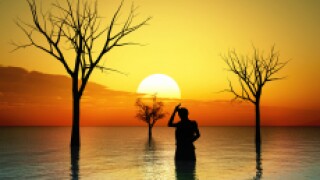 Africa lake px 230 for gc