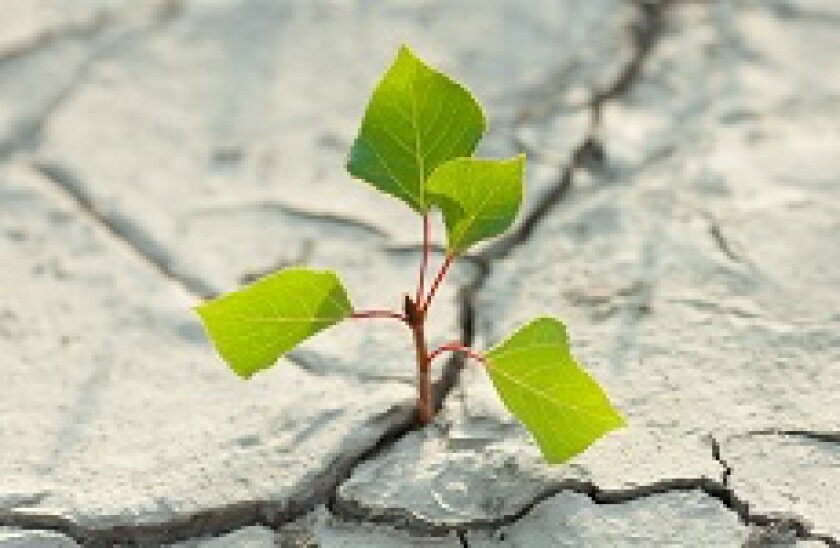 green_shoots_fotolia_230x150