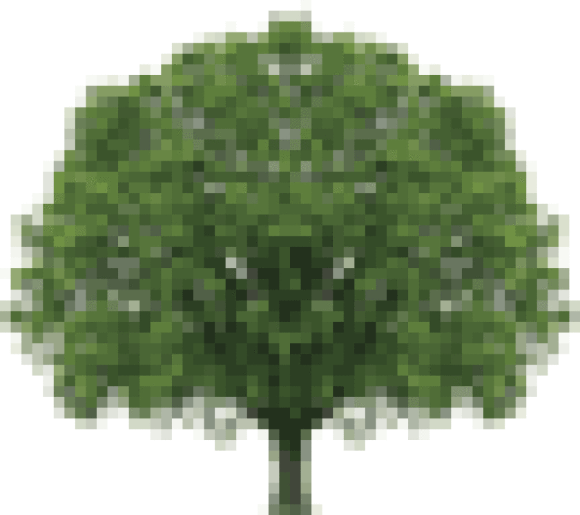 tree-puff.gif