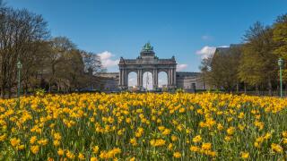 Spring in Brussels EU_alamy_23Jan24
