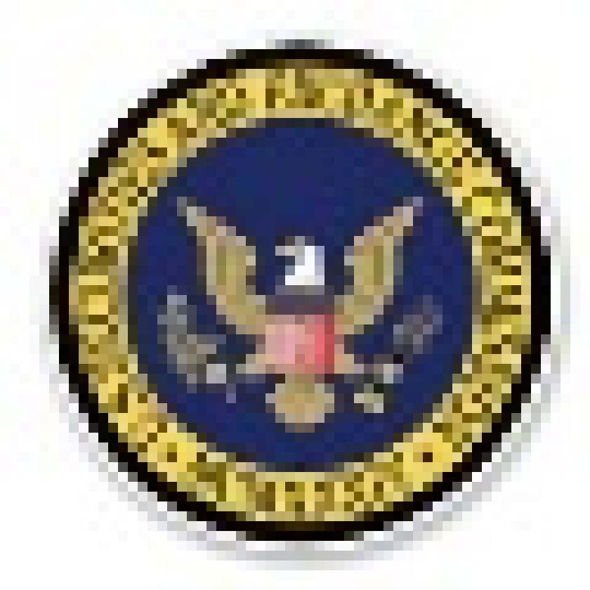 sec-logo.jpg