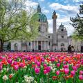 St. Charles Church in spring in Vienna, Austria
