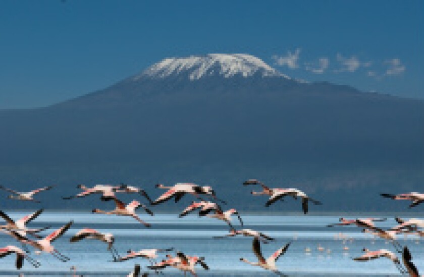 Kilimanjaro Tanzania Fotolia 230x150
