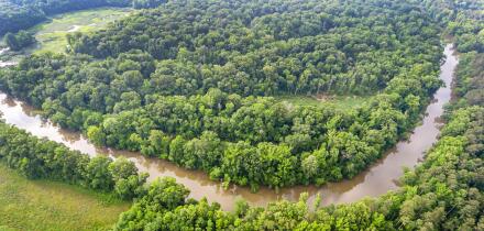 Alabama Decatur estuary nature natural scenery forest aerial view Flint Creek,