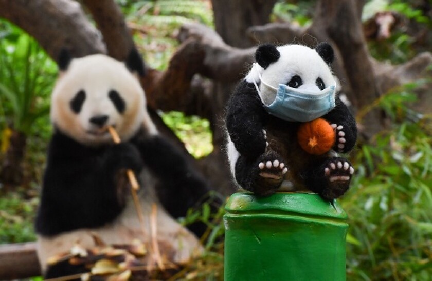 Panda_mask_PA_575X375_21May20