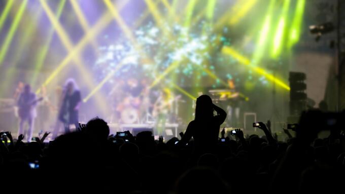 Cheering crowd at a concert