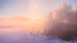 Sunny winter morning. Sun shines through fog at snow. Vivid christmas light.