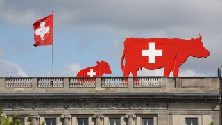 Berlin, Germany, Swiss cows and flag on the embassy Schweitzer