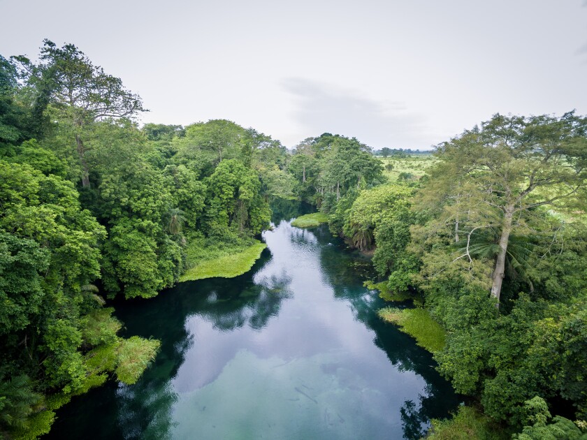 Blue river/ Tulu river / Niari river Congo