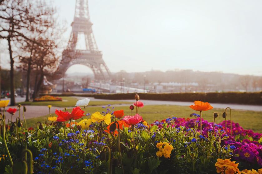 Paris, flowers and Eiffel tower