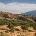 Olive grove and windmills, Lanjaron, Granada province, Region of Andalusia, Spain, Europe
