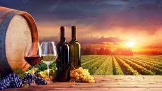 vineyard-adobe-crystal.jpg