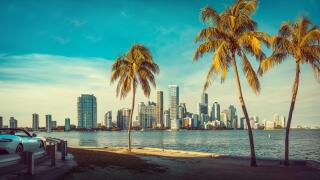 the skyline of miami with palm trees, florida