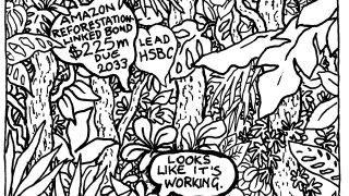 GlobalCapital World Bank Amazon reforestation bond 001.jpg