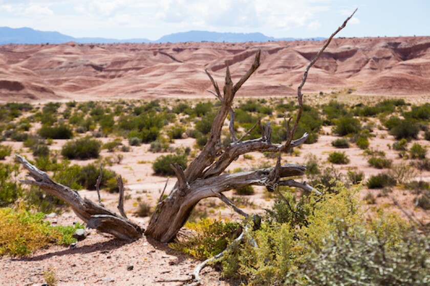 La Rioja, Argentina, province, green bond, wind farm, Parque Arauco, desert, LatAm, 575