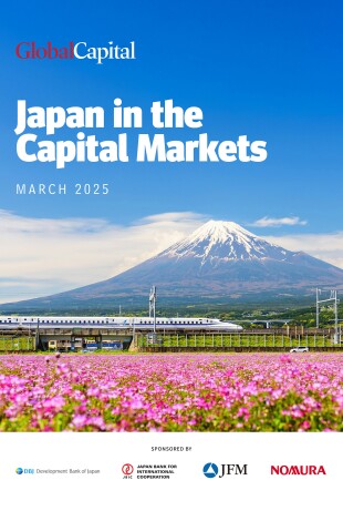 Japan-in-the-Capital-Markets---March-2025.jpg