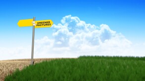 A meadow symmetrically cut with one side flourishing and the other withering symbolising the saying greener pastures