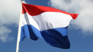 Dutch netherlands holland flag adobe stock