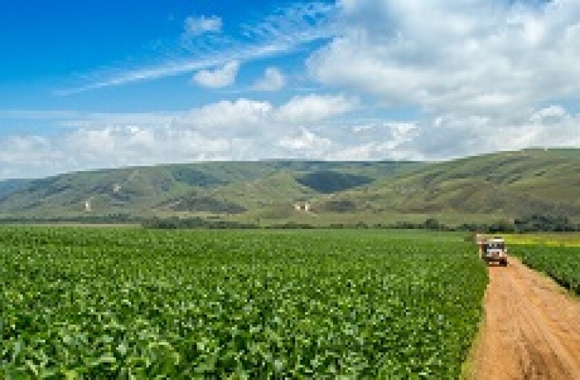 Brazil agriculture food soybean from Adobe 230x150