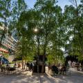 London, UK: Exchange Square at Broadgate, an open space in the City of London. People sit in the square and evening sunlight filters through the trees