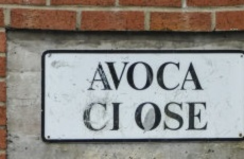 Avoca CLO 230x