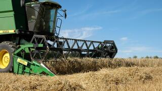 field combine harvester harvest