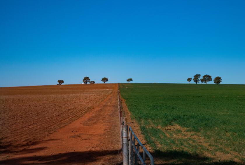 Grass is greener on other side of fence in drought affected Australia with red soil and green paddock.