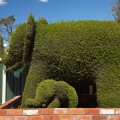 Elephant Topiary, Railton, Northern Tasmania, Australia