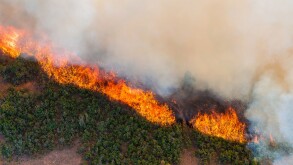 East Peak Fire wildfire rages June 21, 2013 near La Veta, CO. The fire began after a lightening strike has burned 13,000 acres of forest.