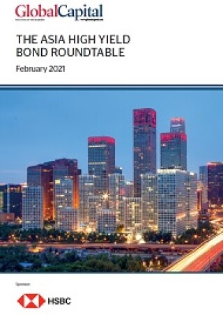 hsbc-roundtable-cover-image-new-feb-2021-200px.jpg