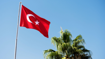 Turkey flag blue sky palmtree Alamy 02May24.png