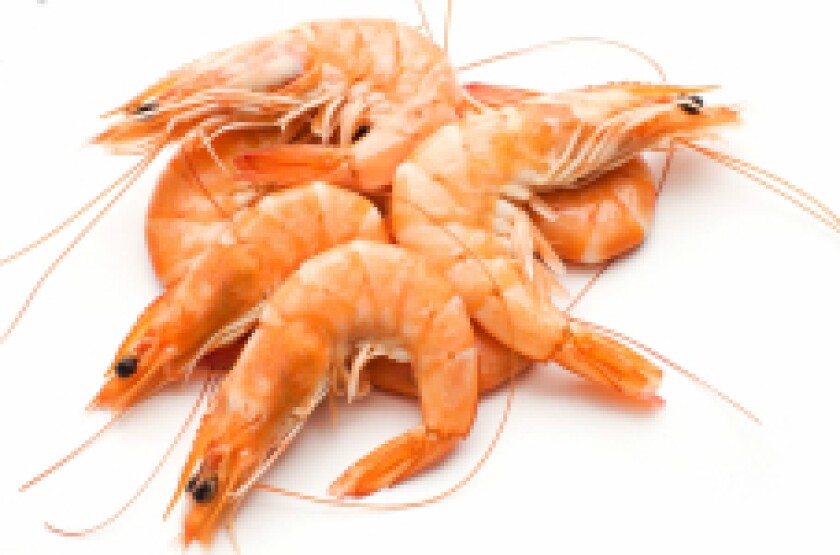 shrimp