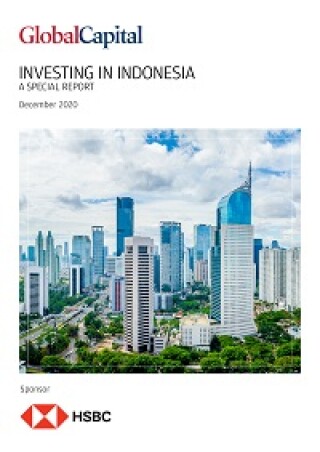 investing-in-indonesia-dec-2020-200px.jpg