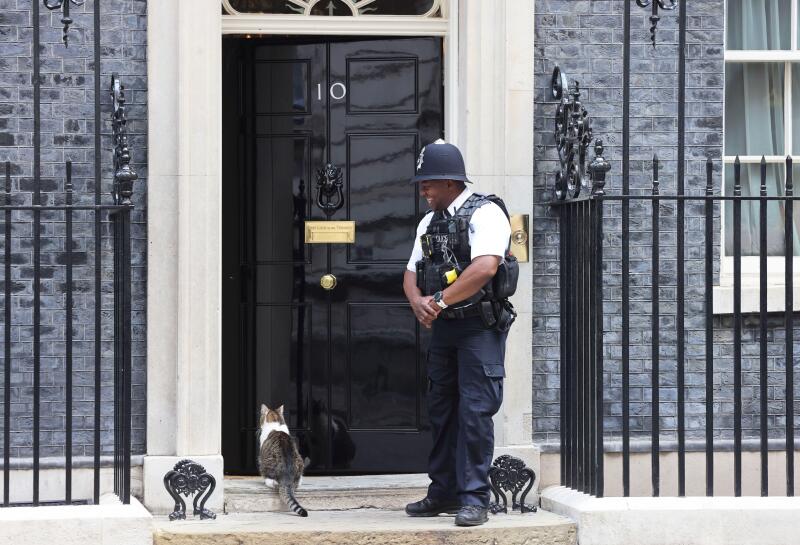 Larry the resident No.10 mouse catcher waiting to be let in by British bobby on Downing Street, Westminster, London, UK