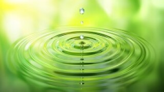 green fotolia 230