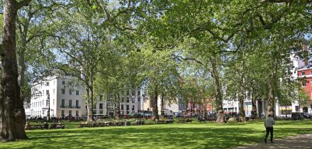 Berkeley Square in London's wealthy Mayfair district. Shows the centre of the garden square on a sunny summer day.