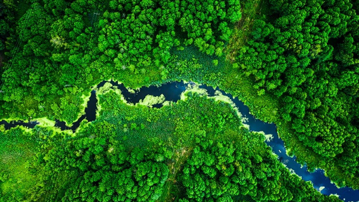 PRIMER: ASEAN Taxonomy for Sustainable Finance – Version 1 - Vimarsana News