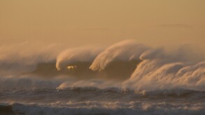 Storm surf, Tsunami wave