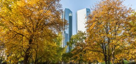 City park in Frankfurt at autumn