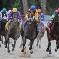 March 7, 2015 - U.S. - Carpe Diem with Johnny Velazquez Wins The Tampa Derby at Tampa Bay Downs March 7 2015(Credit Image: © Cal Sport Media\/ZUMAPRESS.com)