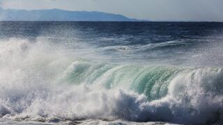 Wave. Image shot 12/2019. Exact date unknown.