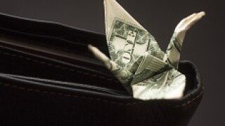 Dollar_bird_fotolia_230x150