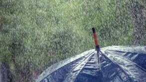 umbrella and rain drops closeup