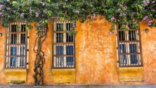 Cartagena de Indias, Colombia, 575, LatAm, windows, old town, colonial architecture