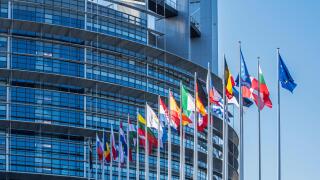 Flags of countries in Europe in front of the European Parliament / EP at Strasbourg, France