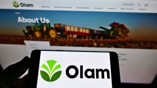 olam-adobe-crystal.jpg