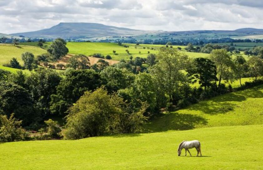 UK_Countryside_Alamy_2Mar21_575