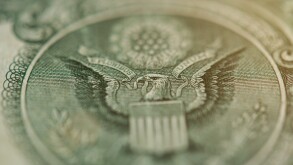 6675215 Hawk on dollar seal